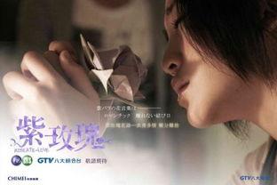 紫玫瑰电视剧在线观看,浪漫邂逅，情感纠葛  第2张